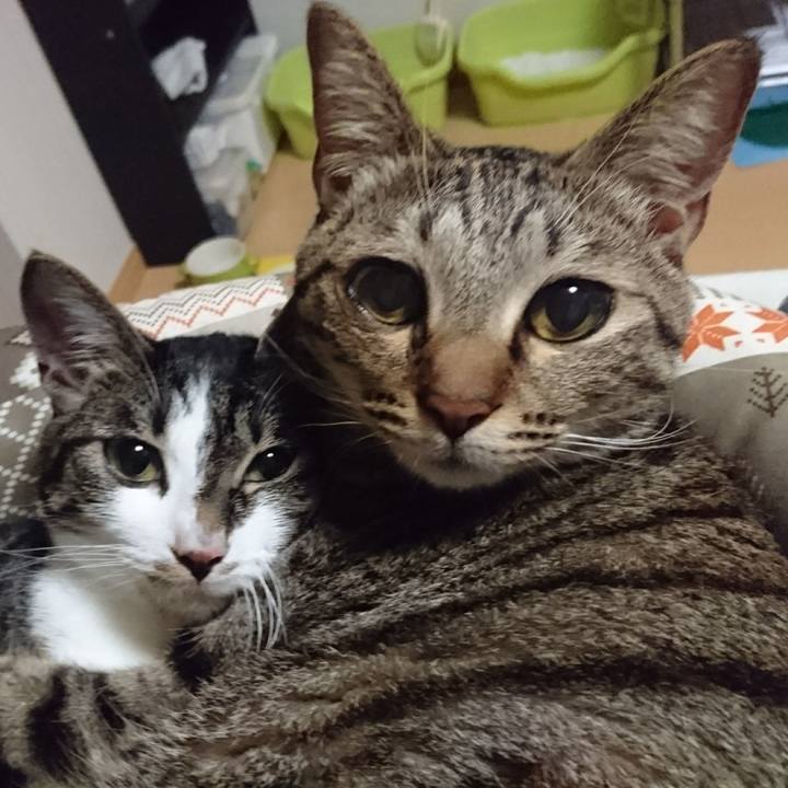 1db64955 fa84 4bee 8860 d55ed19dc113