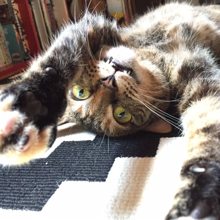 1db6f48e 45b3 4995 8519 d897104d9b0f