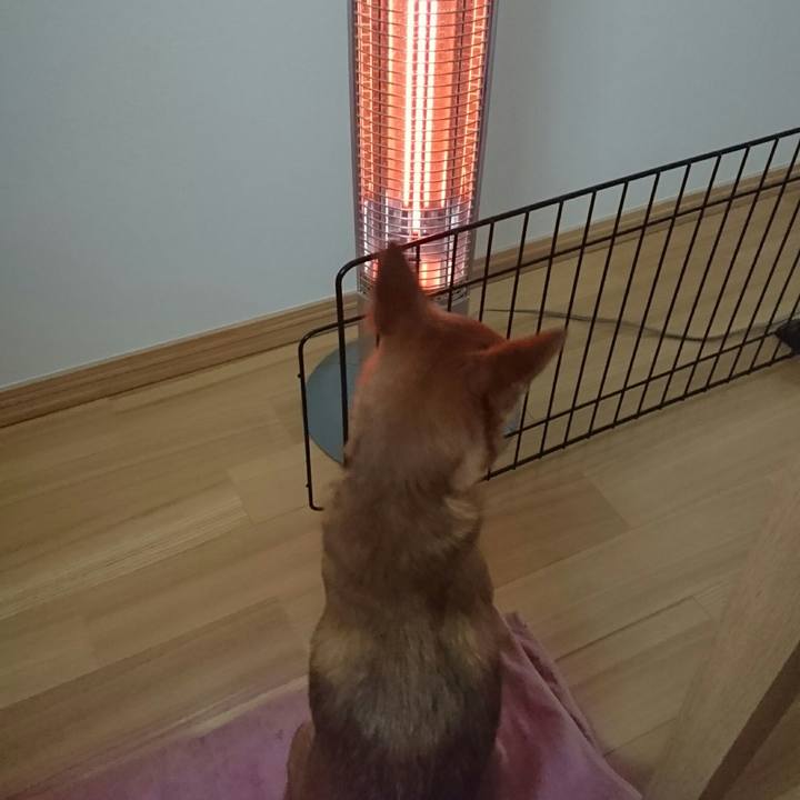 1db7e43c 5af9 4d6a 8eb6 b47f58d63b89