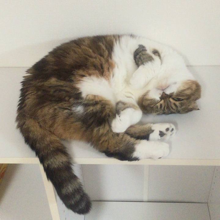 1db87d88 beef 4806 bee1 c7fac0298c8d