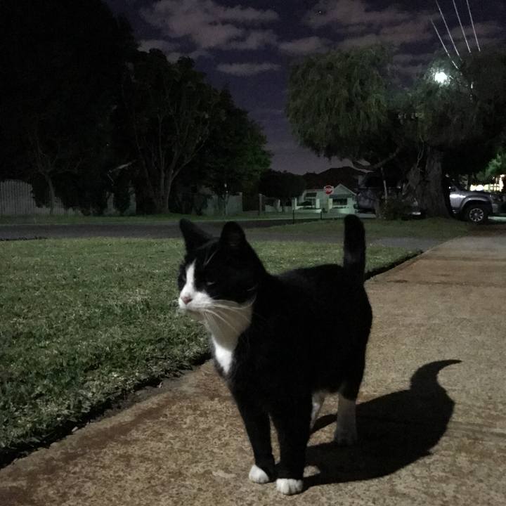 1db8bd7a 769d 4396 9c81 eeffb284ccfc