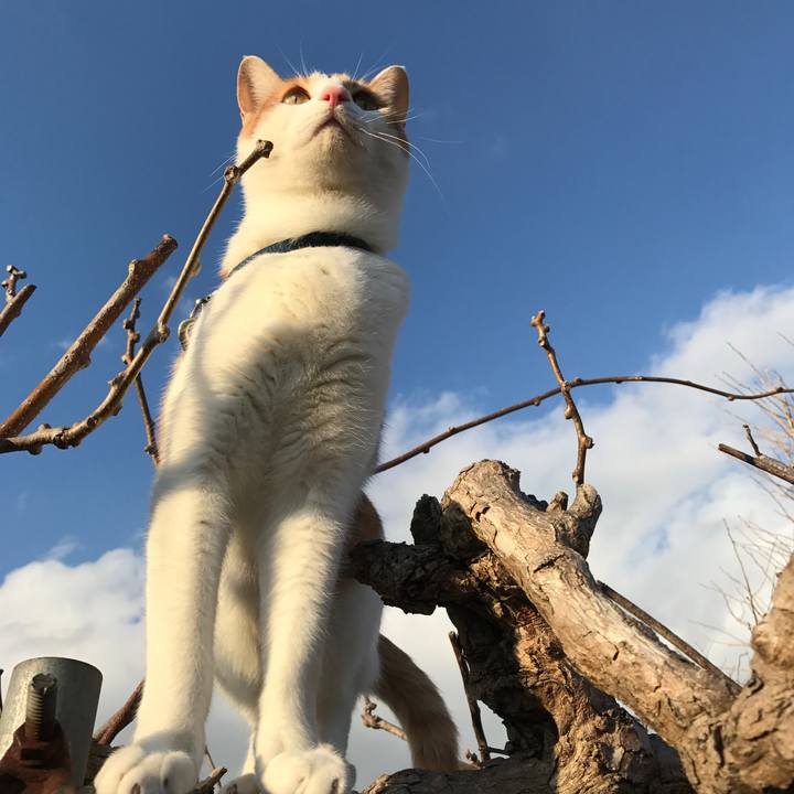 1db8cf34 96b4 40d5 8784 ab7f32d3e45a