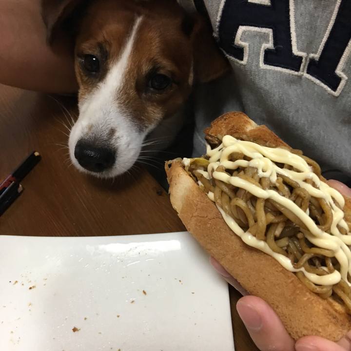 1db91944 d910 4c5d a623 965bb632cde7