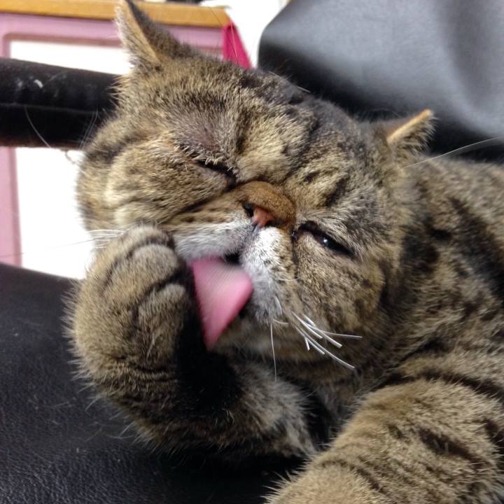 1db93f60 3c64 49e9 bd89 ff40bdec4dc6