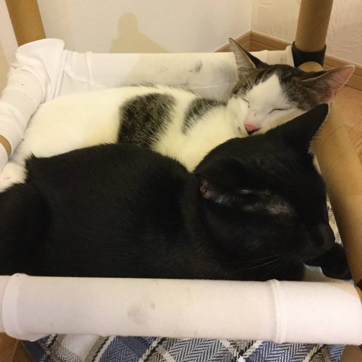 1db97326 c2ed 42ad b759 7efd930e06e9