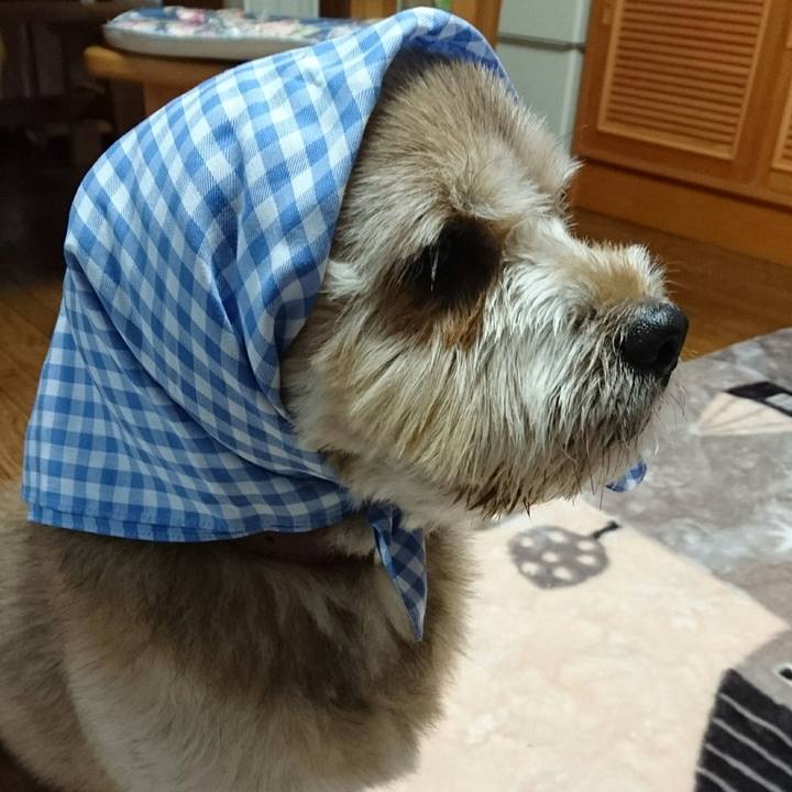 1db9c134 4197 490a a4fd 78fce1bf315a