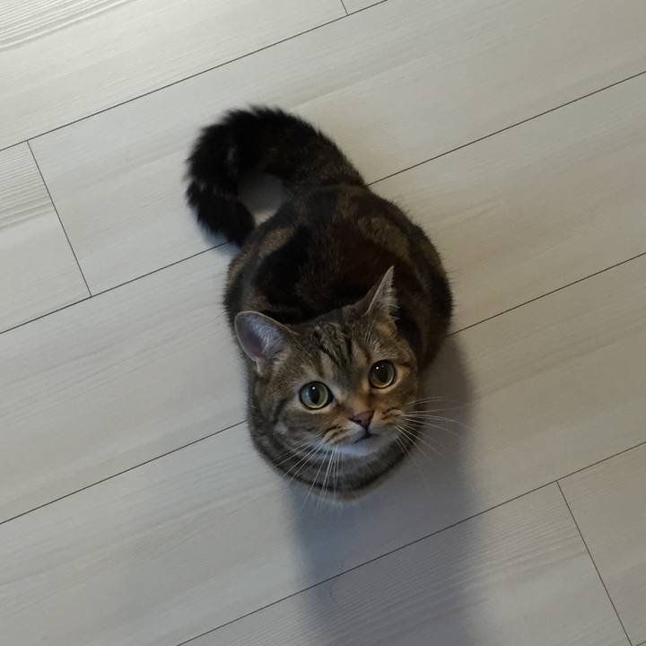 1db9cde1 72b5 4073 a3bd 28757821d91b