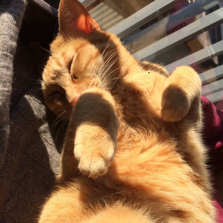 1dba43ee ca73 42bc 8645 fe18c231869d