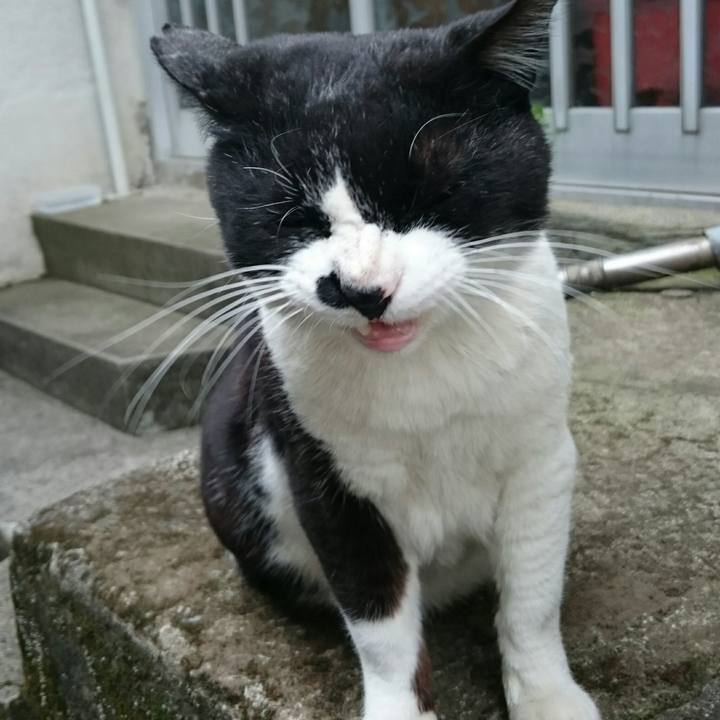 1dba7cfb 70cb 4614 b356 72f98e56a90b