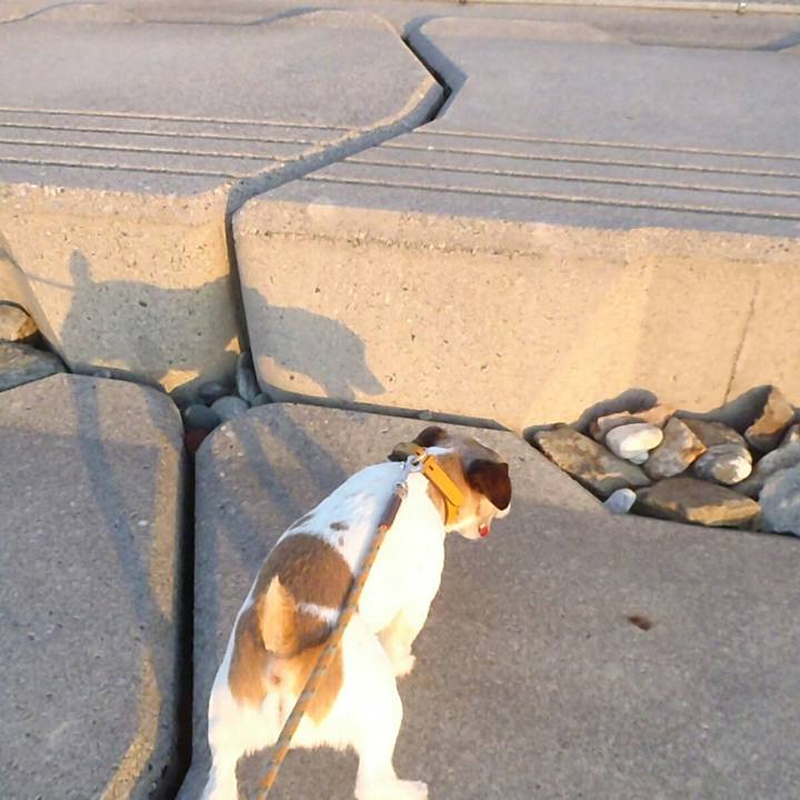 1dbb1b9d 428c 4df2 8935 67024787e84d