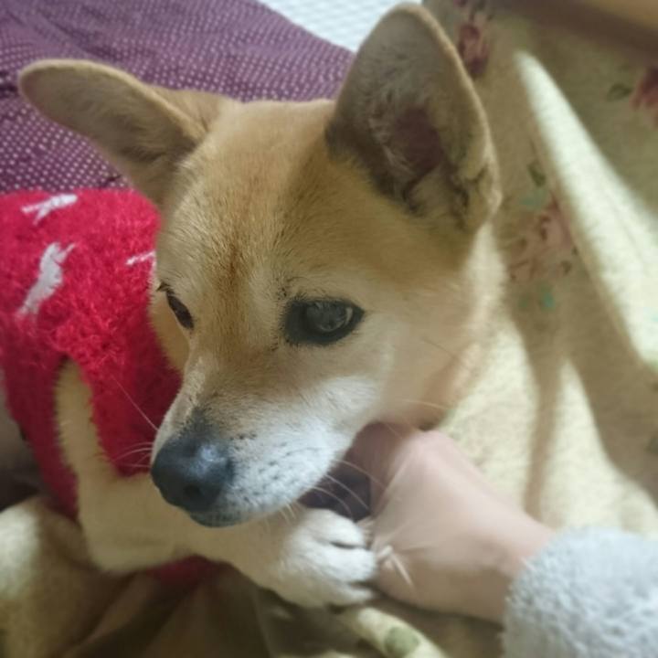 1dbb258f 7d6b 47ea bcbe 705e57e5f345