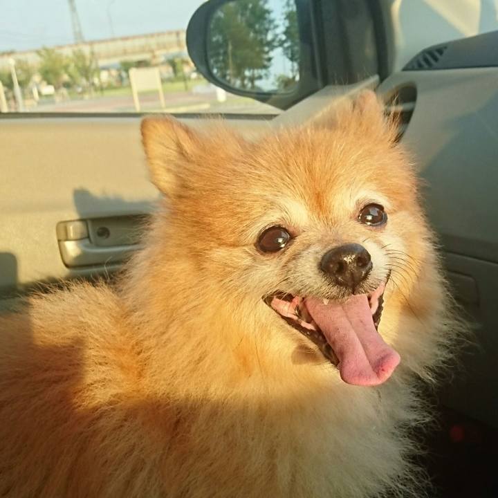 1dbb909f 86b1 4fa4 a1fa d87063d415b4