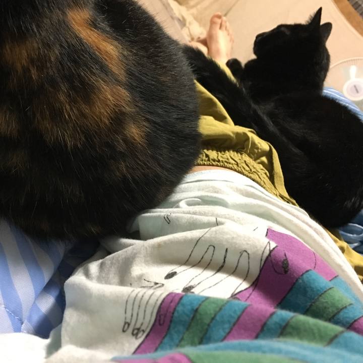 1dbbd6c4 efb4 4293 858e 9099577a00c9