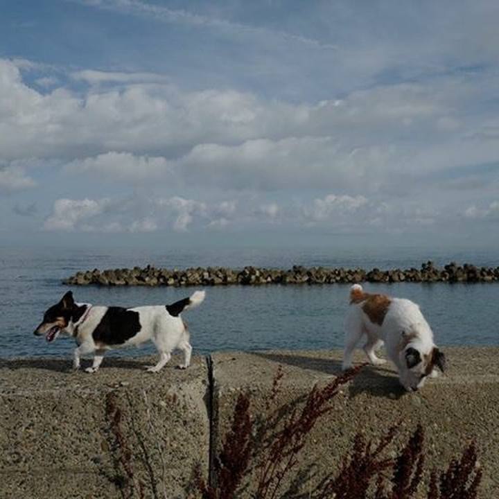 1dbc0ec6 0e9c 45f5 a6c8 8c642d472b5e