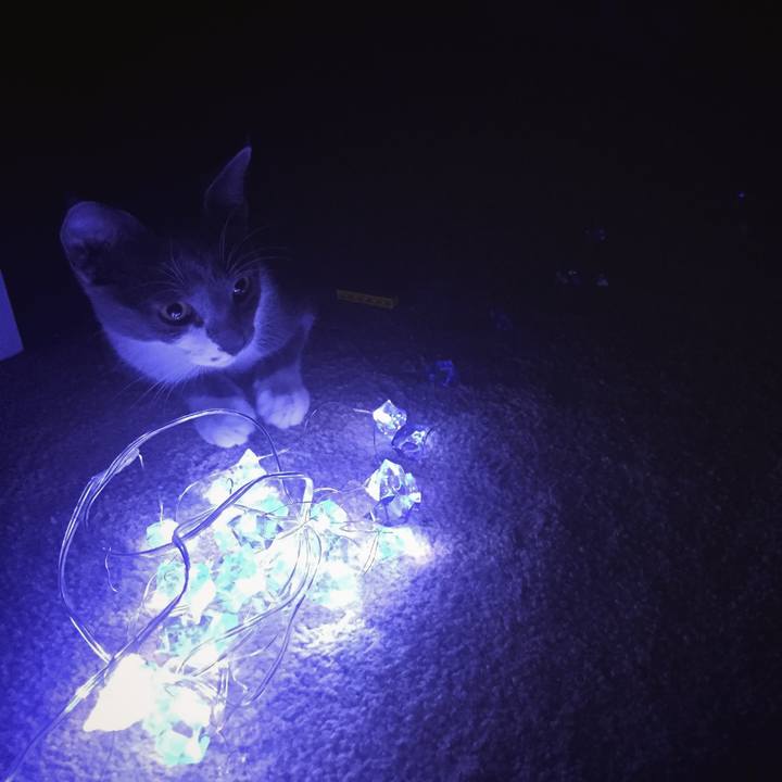 1dbc1173 3852 41cd b815 e9cc444628b6