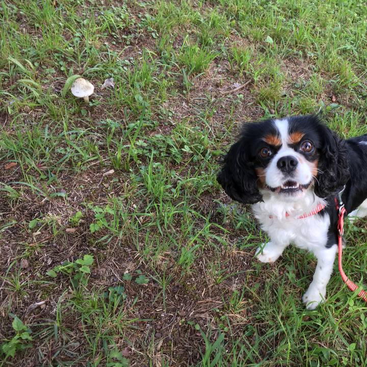 1dbd3201 2364 4ea9 bde6 d1530a906089