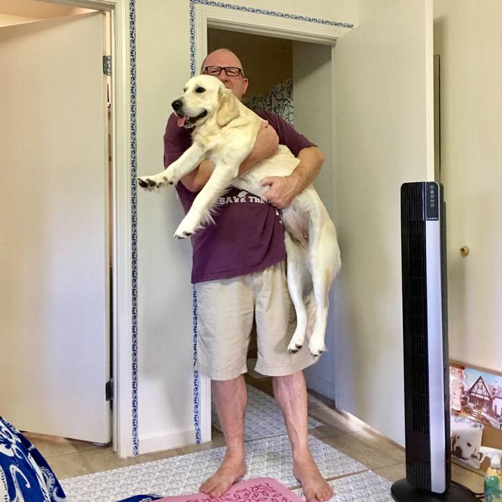 1dbd38ee b74e 4125 8006 ed3bfc27efd2