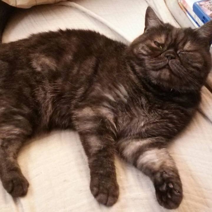 1dbdd357 df78 4cfd b596 40435fd2252a