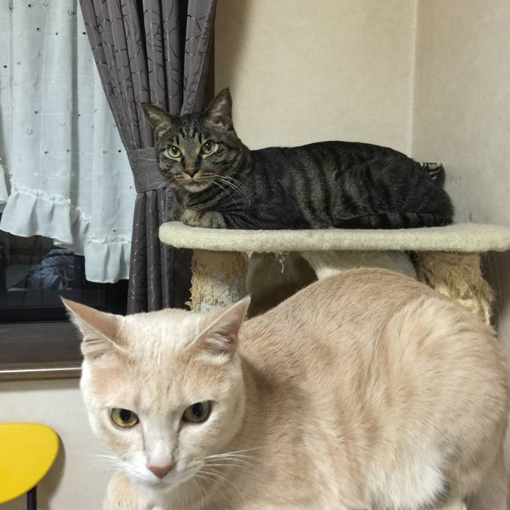 1dbdeb0c a7c8 4713 9c4c f2c24c7aa0ab