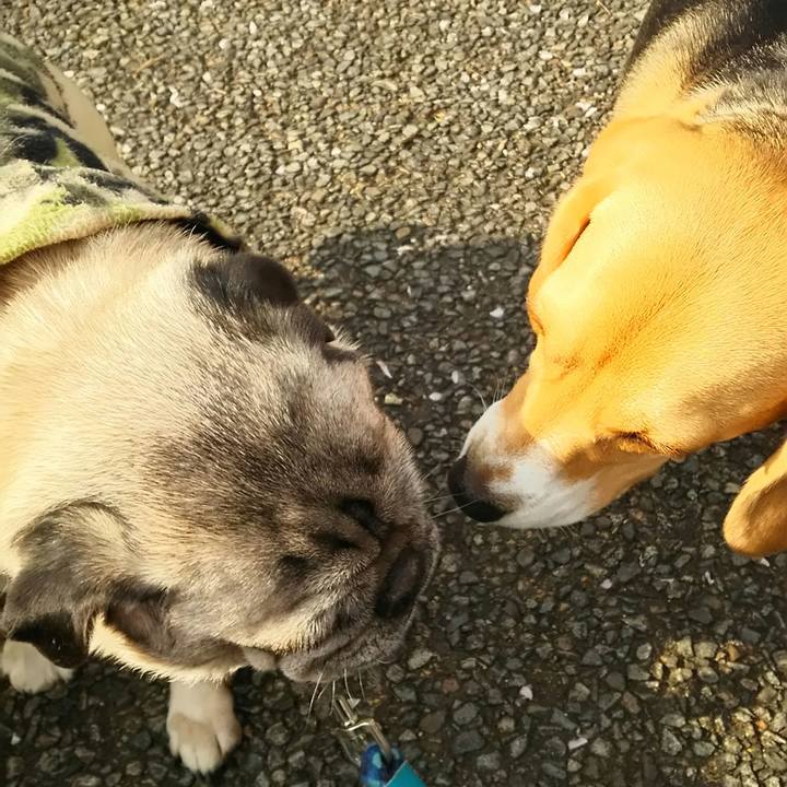 1dbf0156 5476 47ef a7ef 18218ebda7d0