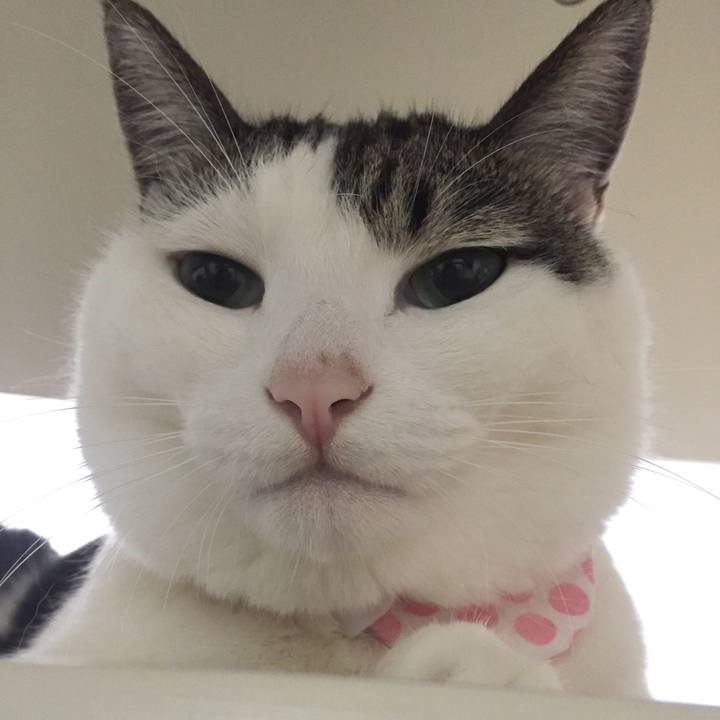 1dbf4640 5669 4b3a a12d 1d5fc40b7368