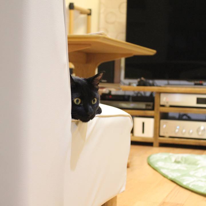 1dbf856e 3b2a 489a 8ff1 a94b8be47b16