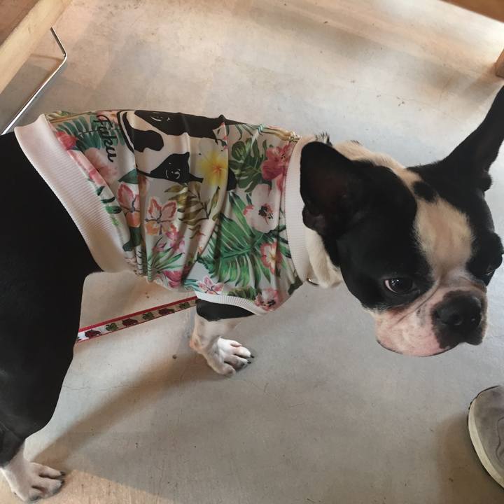 1dbfc69e 04a6 4632 9c9c 8abcf69ef0b9