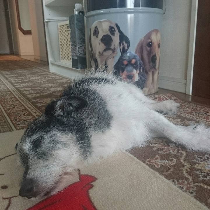 1dbffffa ac5e 49ec aeee 175a17427504