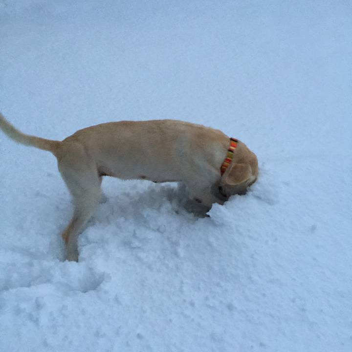 1dc00521 cb18 4b78 997d a765073b8218