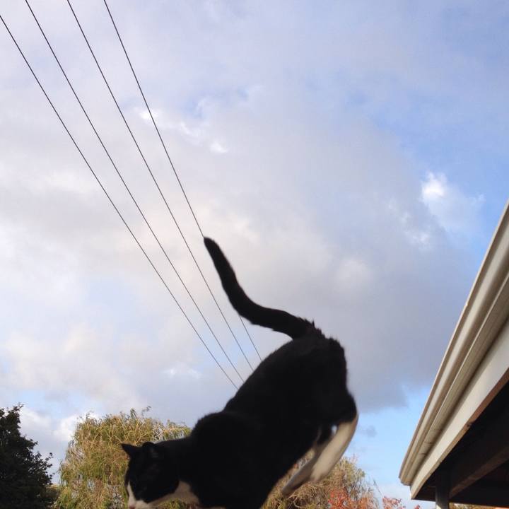 1dc00eb2 0ce8 42f5 bbd8 999b2ec877a2