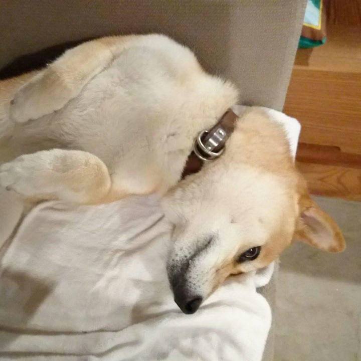 1dc026e9 6f34 46c6 bb0c 4e44dac781bb