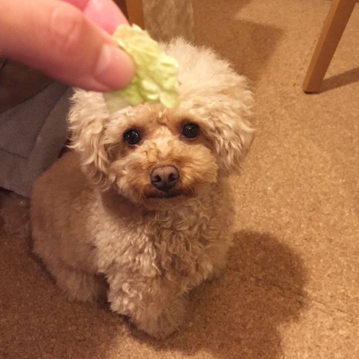 1dc09673 7a48 4836 bd4e d0e81f6667af