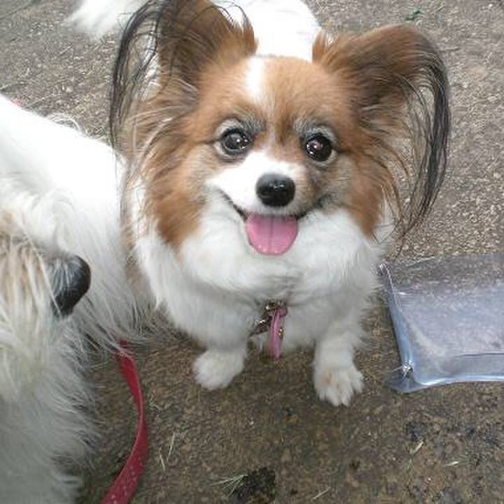 1dc1713d 56d1 46ef 8b33 00dfb9764112