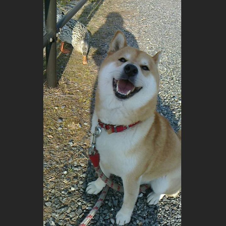 1dc1c0b8 929f 4033 903d 3eea39860ef7