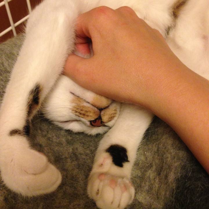 1dc1f591 3e4b 4da0 9659 3dcf9882e4d4