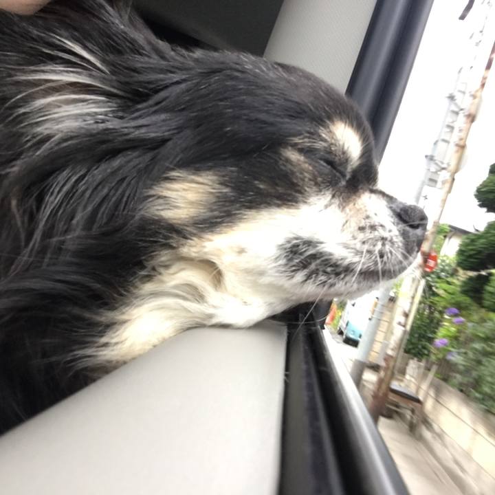 1dc23e1e d682 49e2 8c50 cb87610e64cc