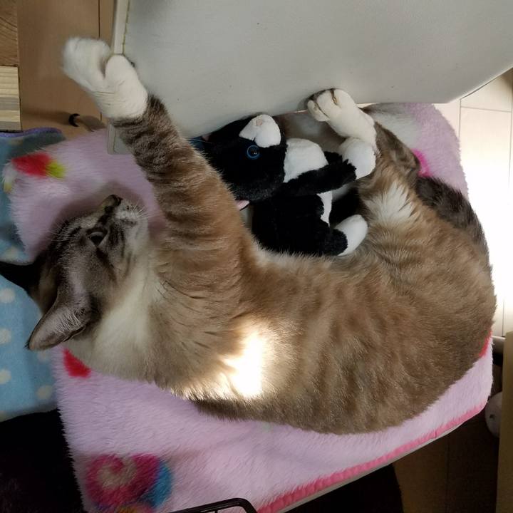 1dc260fa edef 4564 8c60 f76f9b3c7e33