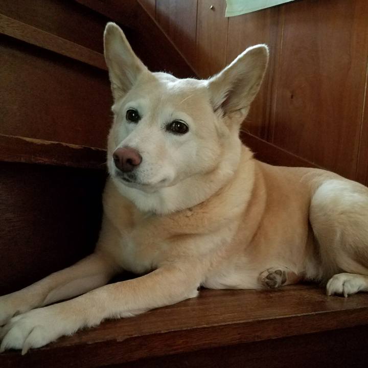 1dc27687 8737 4952 b105 a673d328a5d7