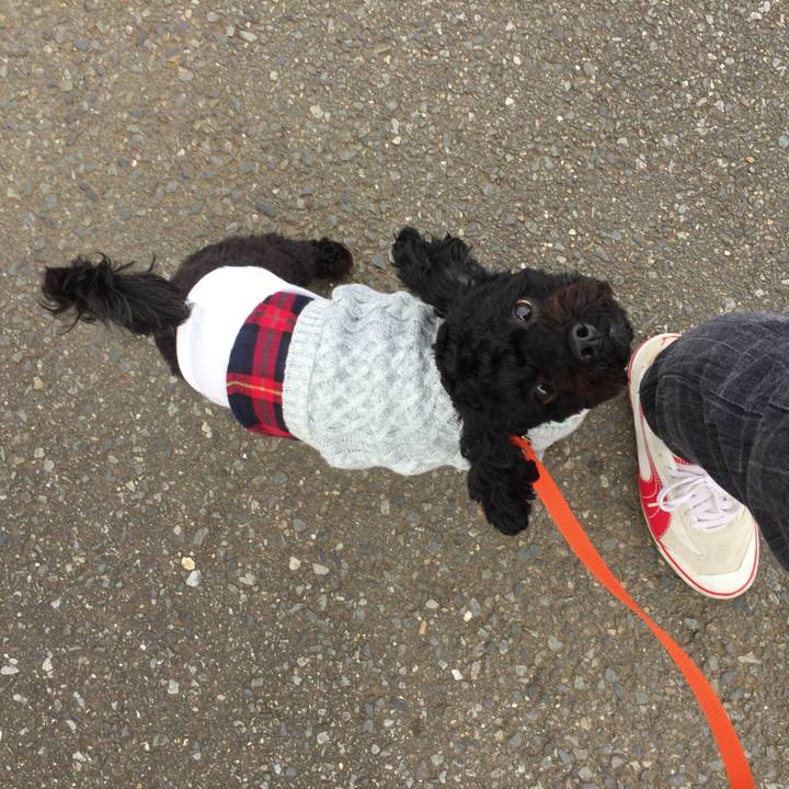 1dc29721 a247 4a4a a35a e093d35c5e57