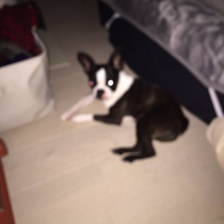 1dc2d763 1e42 4b53 9f9f 5e4886cf88f7