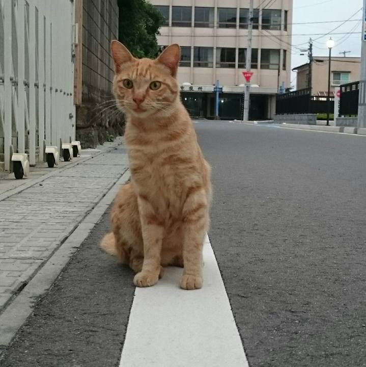 1dc30272 57ac 414b ab38 947b55365b42