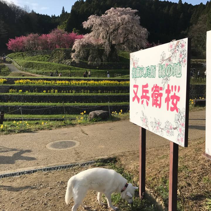 1dc39c33 e795 4069 9b1b 8b9dbacbd487