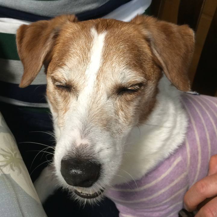 1dc3a208 0fcf 4236 8953 0483cb54a1ed