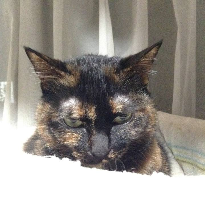 1dc3ab5f 9ef6 4438 870a 7ee5d3dc0f65