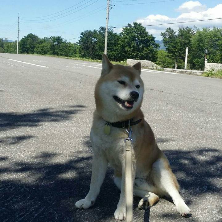 1dc3ae10 e07c 4908 a285 05ff28ec608f