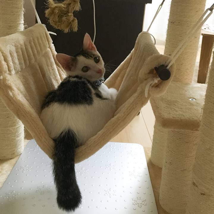 1dc3c25b 0e2b 46f4 805b fe070ccd26e6