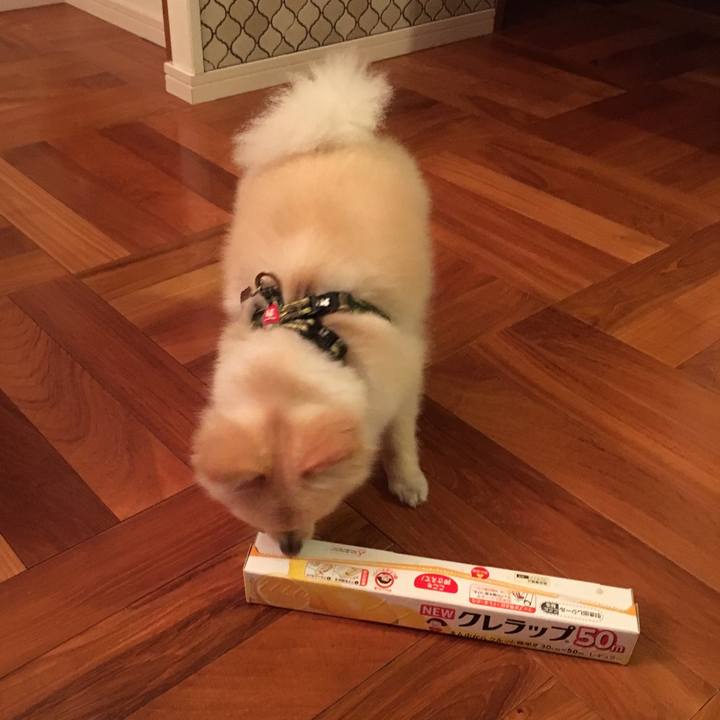 1dc3f7a4 b5cc 4573 ab67 c4fad838105b