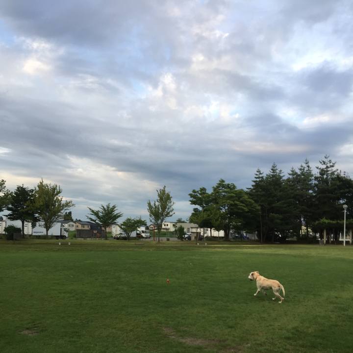 1dc567ba dc0d 4f69 bf6b 324486ab2cbf