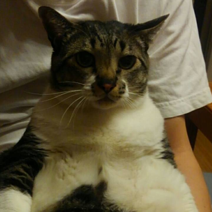 1dc6877a 5a95 4890 9a10 a8dbfabf8629