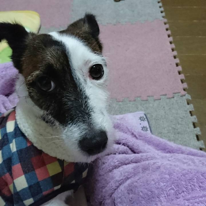 1dc6a3e7 74c1 4e9c a580 413f0b0d9076